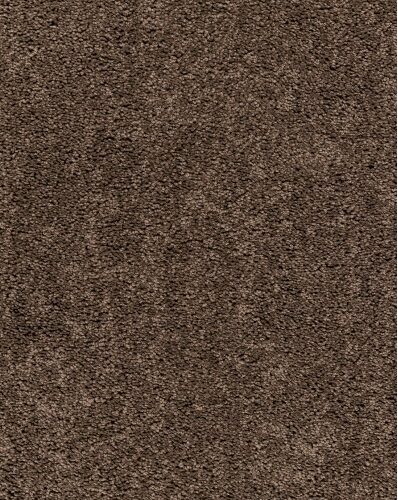 ImpressSDN_930_Koffie-398x545 F1