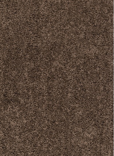 ImpressSDN_930_Koffie-398x545 F1