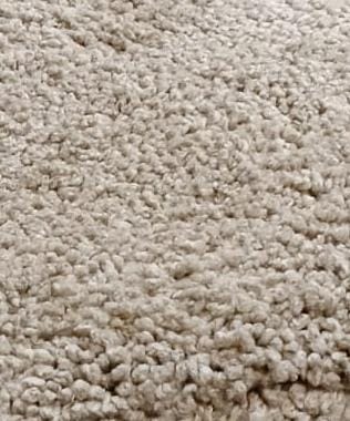 WhatsApp Image 2026-01-09 at 13.04.06 ND1