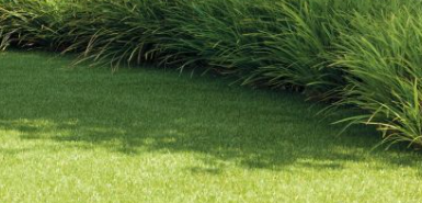 Green royal soft 38mm